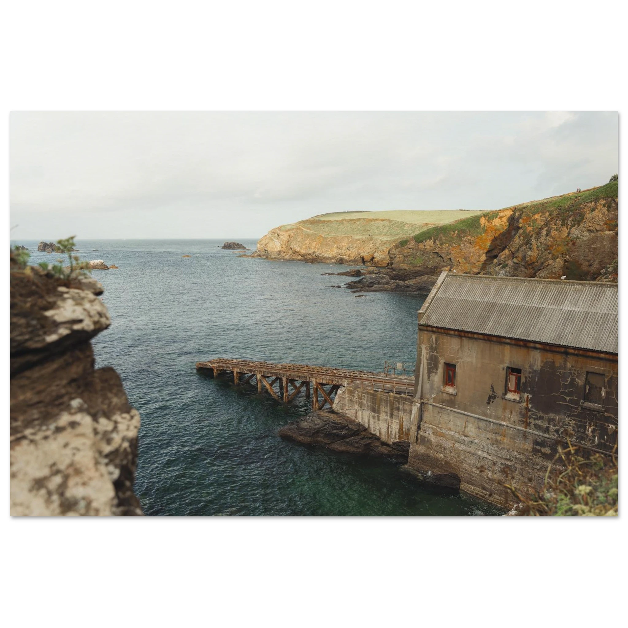 13020681-4391-4791-bcb5-8af8f3f90f8a