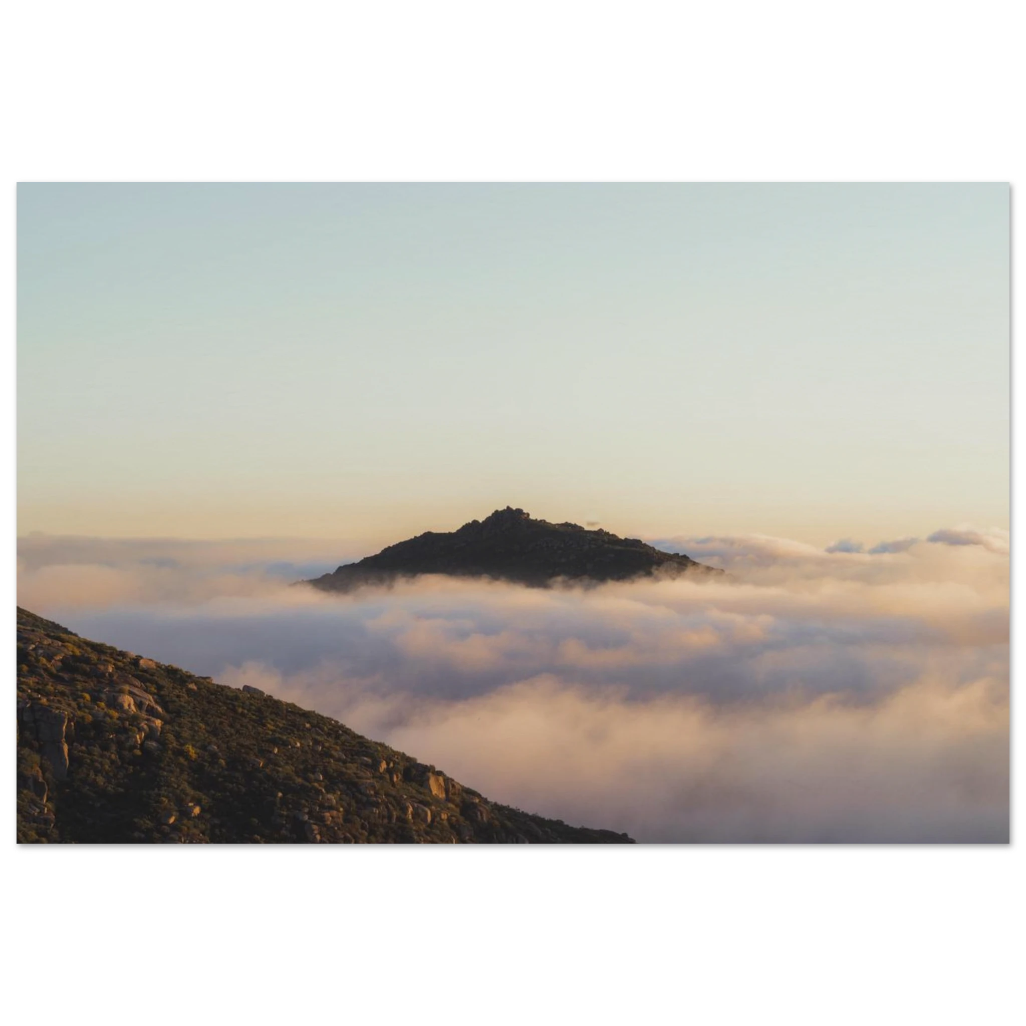 41ece12d-b16d-4b9c-9c4e-b817770a3310