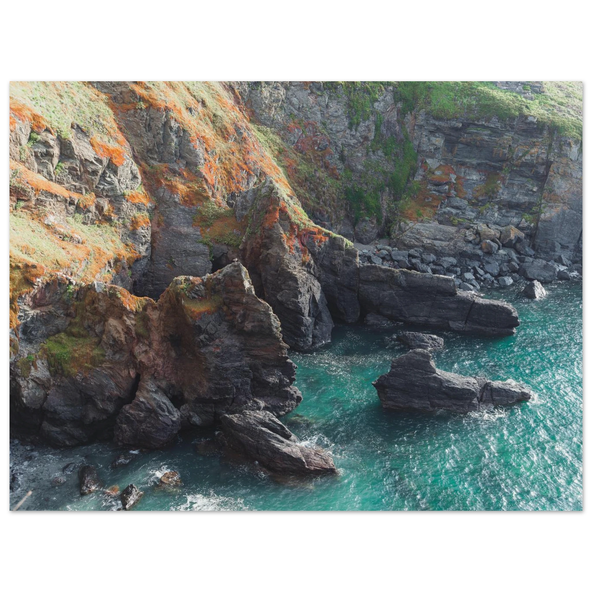 4263cc17-6f50-46ae-85c8-ef2db50dffc0