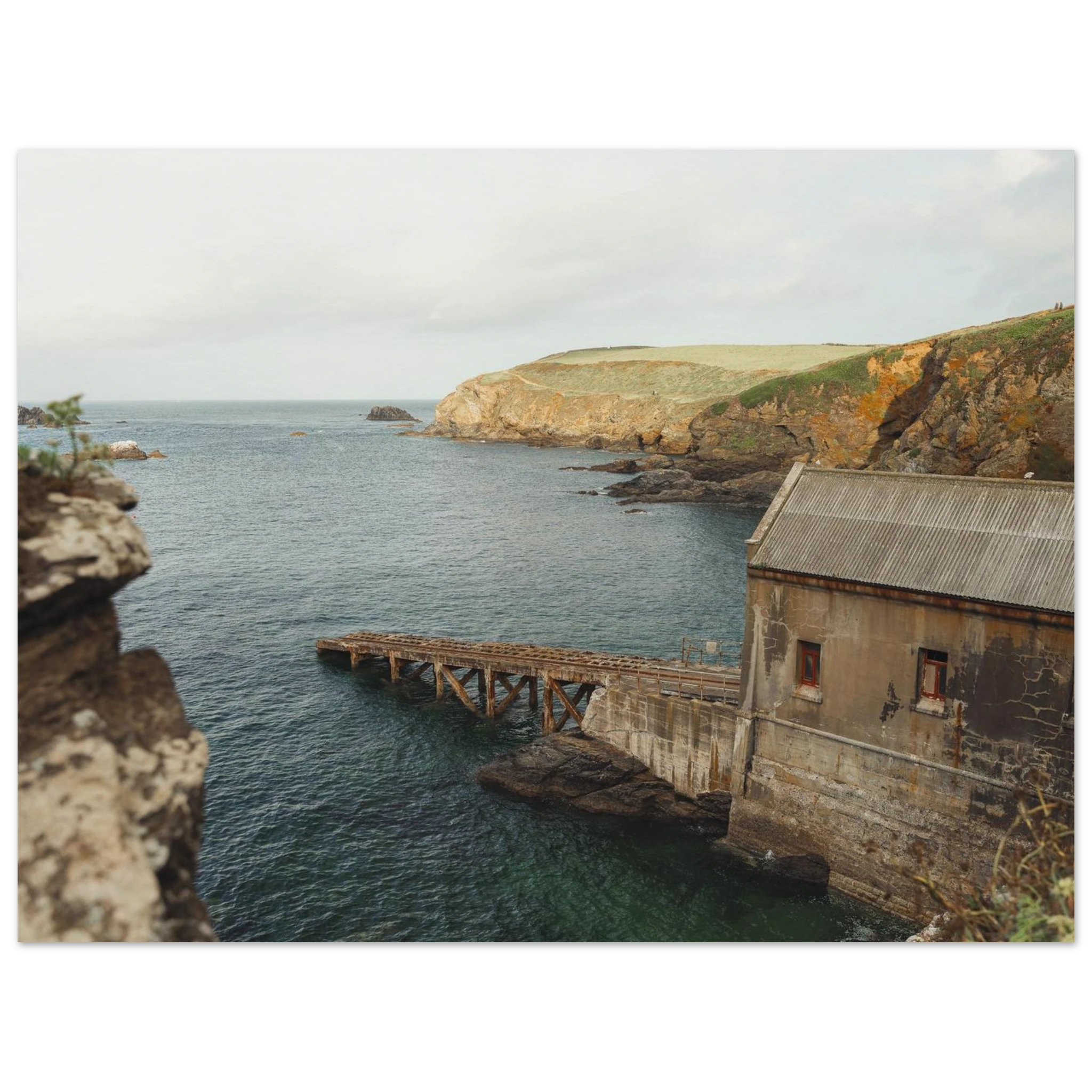 65a1567a-7bf7-469e-b16f-78496b13a6f6