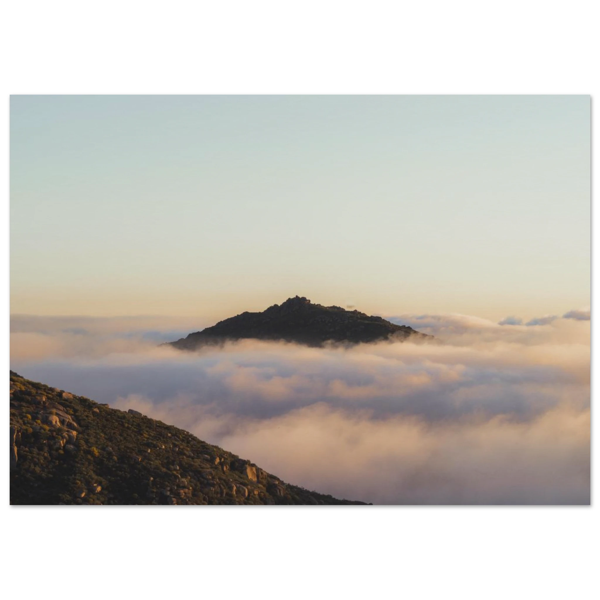 7806ab63-46a4-4822-af5b-44d38f48f175