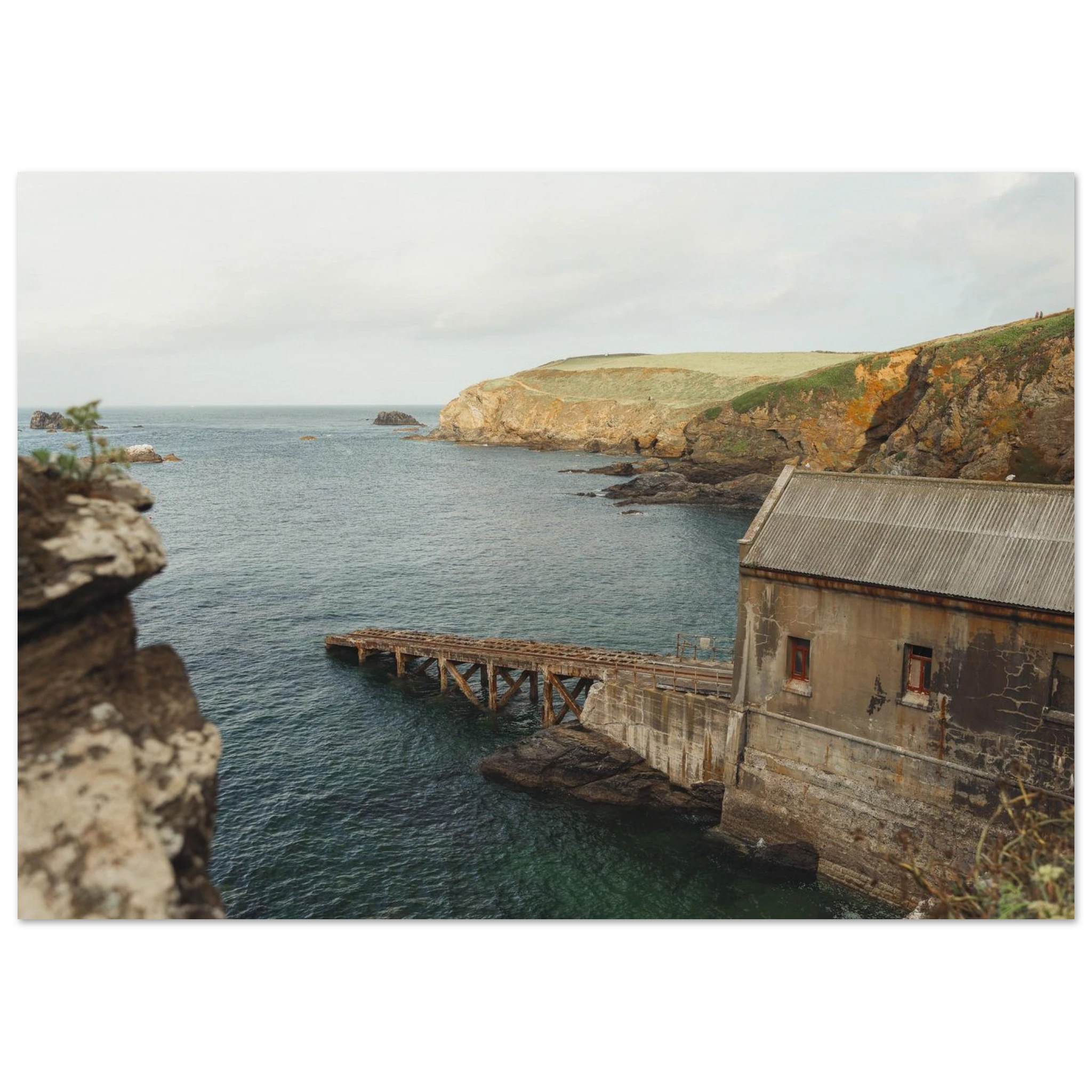 88f62c1e-3e6e-4d19-956c-366404329770