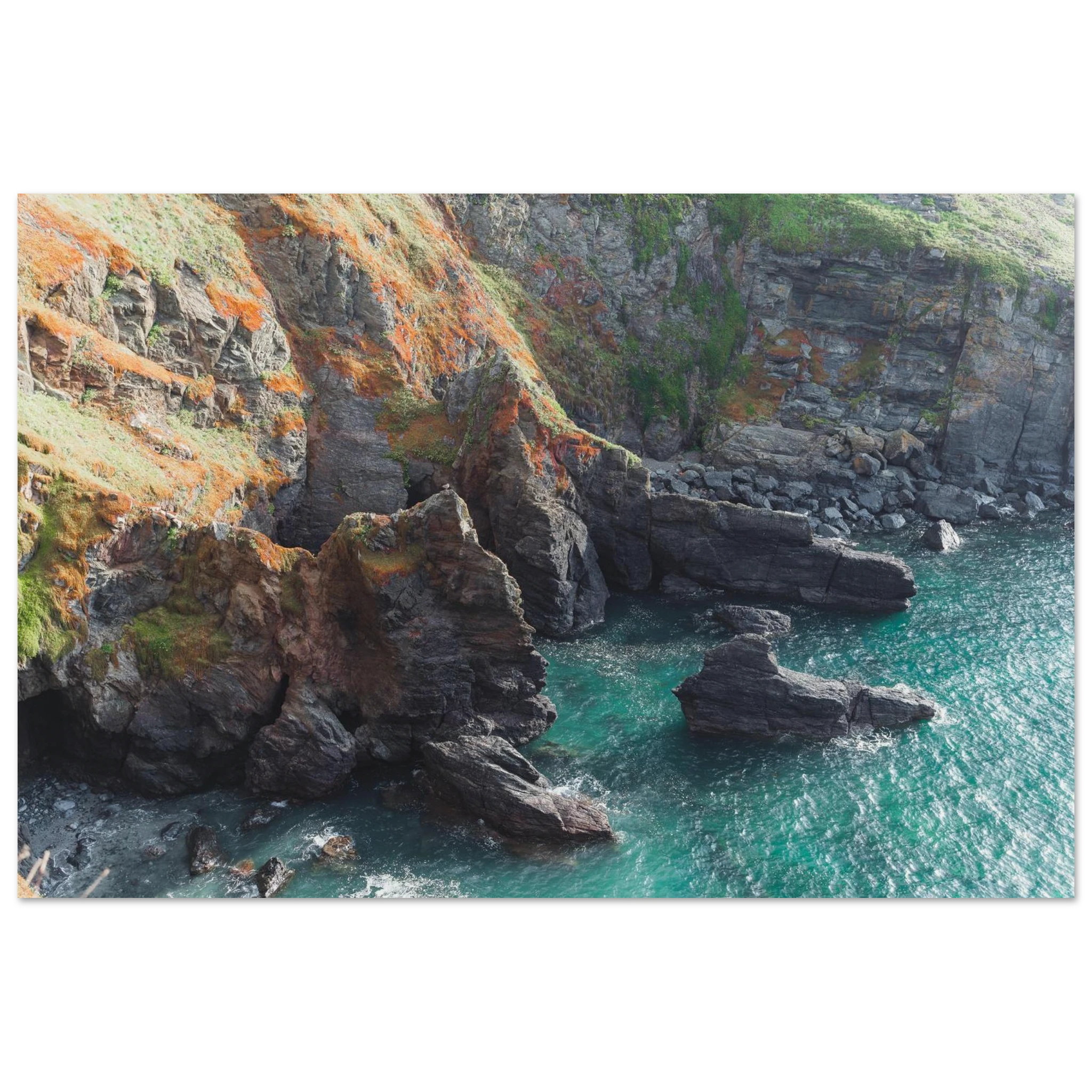 e1596e3c-2f22-4371-b1f9-0f0e682be0a0